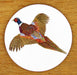 Ring Necked Pheasant Coaster by Richard Bramble