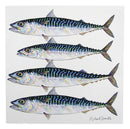 Richard Bramble Mackerel (4 fish) Greeting Card