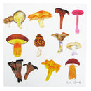 Mushrooms Greeting Card
