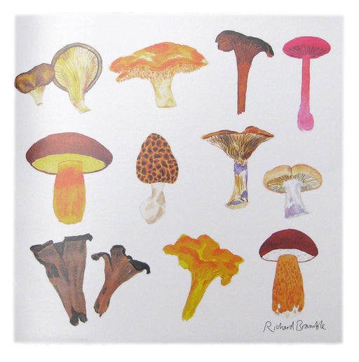 Richard Bramble Mushrooms Greeting Card