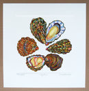 Oysters print
