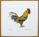 Cockerel or Rooster Print