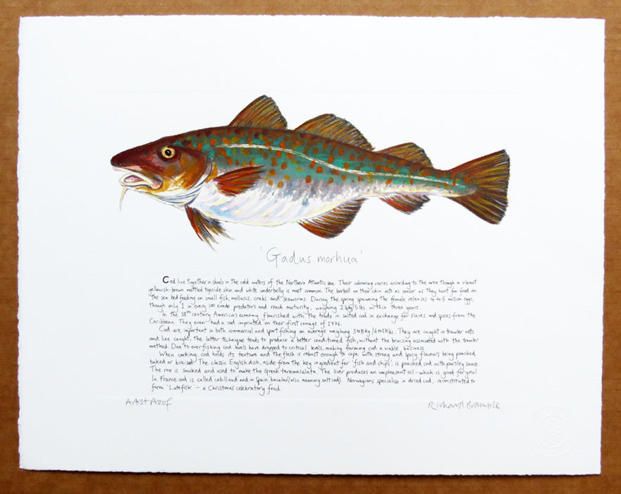 Cod Print with text hand coloured