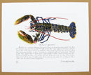 Lobster print with text