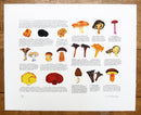 Wild Mushrooms print