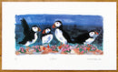 Puffins on the Rocks Print hand coloured
