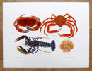Shellfish selection Print