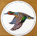 Green Winged Teal Tablemat by Richard Bramble
