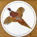Ring Necked Pheasant Tablemat by Richard Bramble