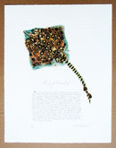 Thornback Ray Print