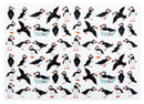 Puffins Gift Wrapping Paper