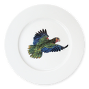 Parrot 19cm Flat Rimmed Plate