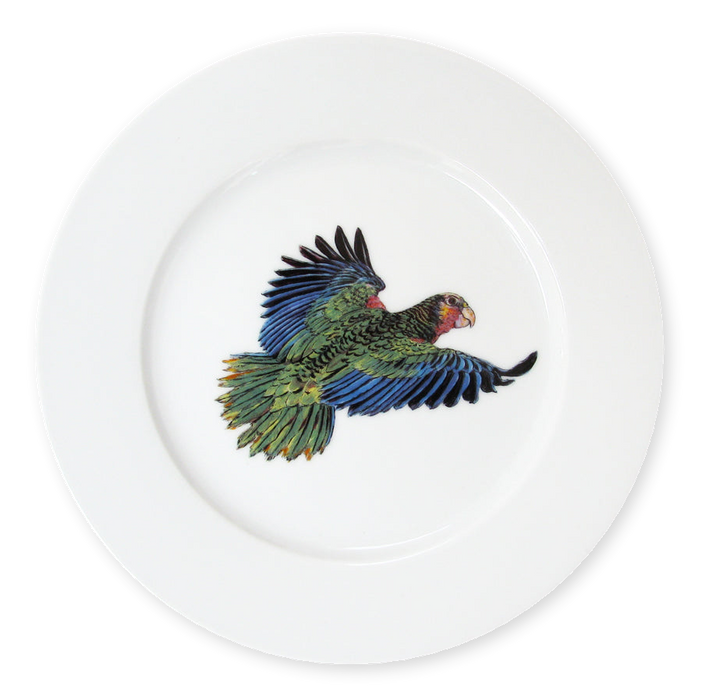 Richard Bramble Parrot 19cm Plate