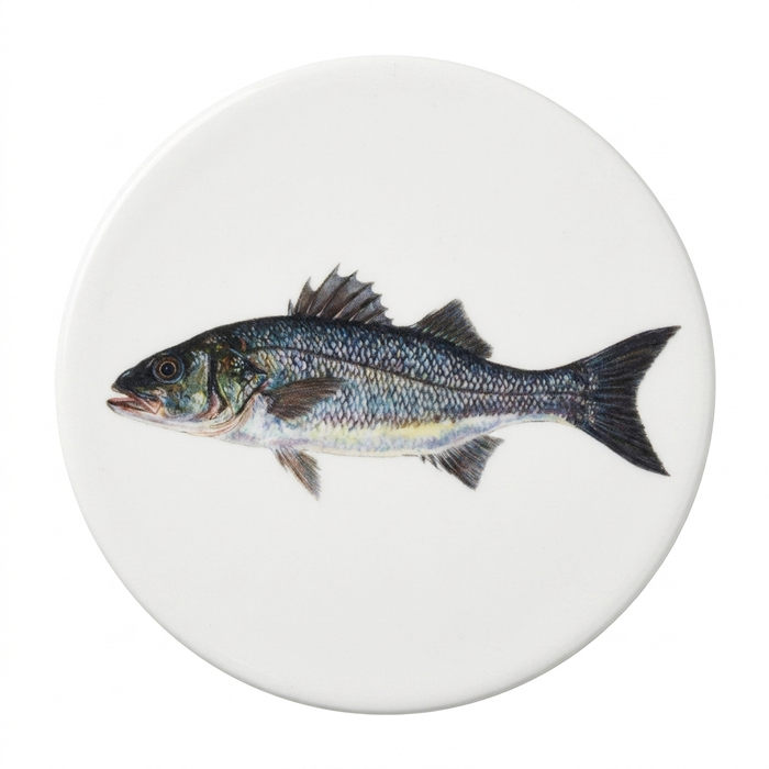 Sea Fish Coaster Set of 6 size & rim guide