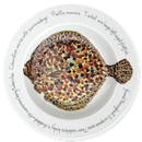 Turbot 30cm Deep Rimmed Plate