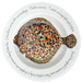Turbot 30cm Plate