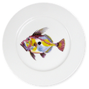 John Dory 19cm Flat Rimmed Plate