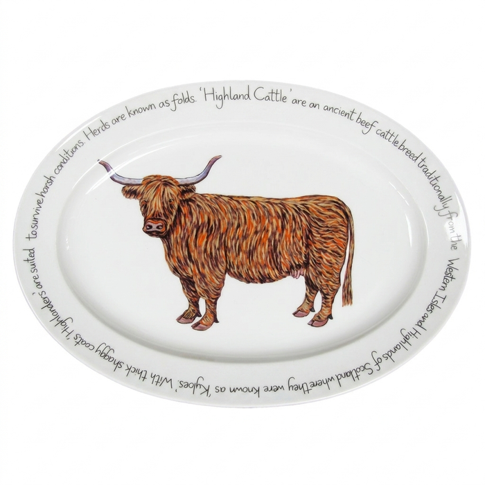 Highland Cow 39cm oval plate