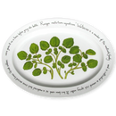 Watercress 39cm (15".4) Oval Plate