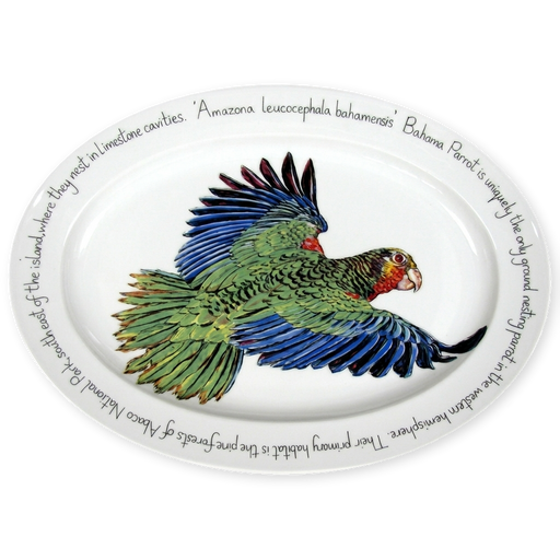 parrot oval plate