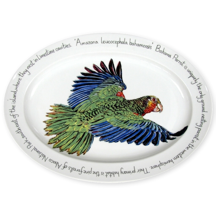 parrot oval plate