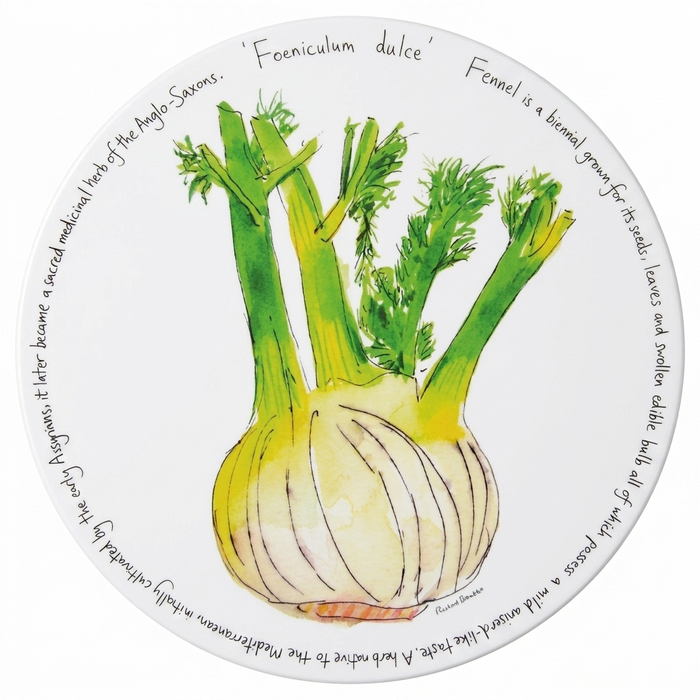 Kitchen Garden Tablemat Set of 6 size & rim guide