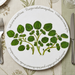 Watercress tablemat