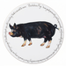 Pig Breeds Tablemat Set of 6