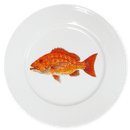Red Snapper 19cm Flat Rimmed Plate