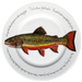 Brook Trout 30cm Plate