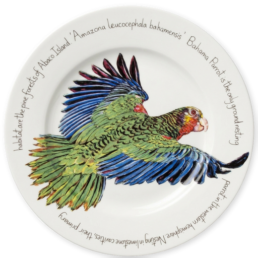 Parrot 30cm Plate