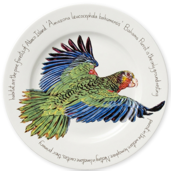 Parrot 30cm Plate