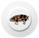 Richard Bramble Oxford Sandy Black Pig 19cm Plate