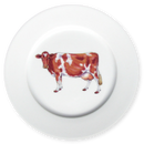 Guernsey Cow 19cm Flat Rimmed Plate