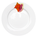 Conch 26cm Flat Rimmed Plate