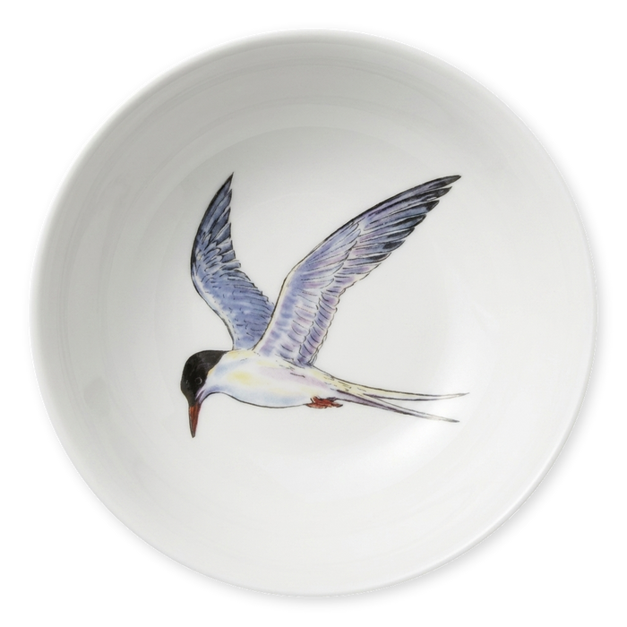 tern bowl