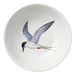 tern bowl