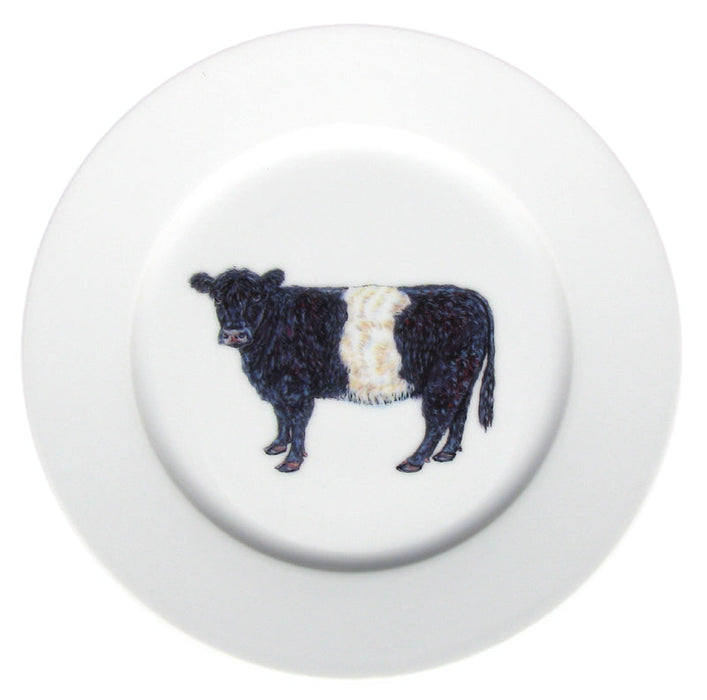 Belted Galloway Cow 19cm Plate by Richard Bramble