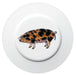 Oxford Sandy & Black Pig 19cm Plate by Richard Bramble