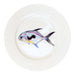 Permit 19cm Plate by Richard Bramble