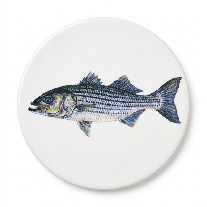Striped Bass Coaster