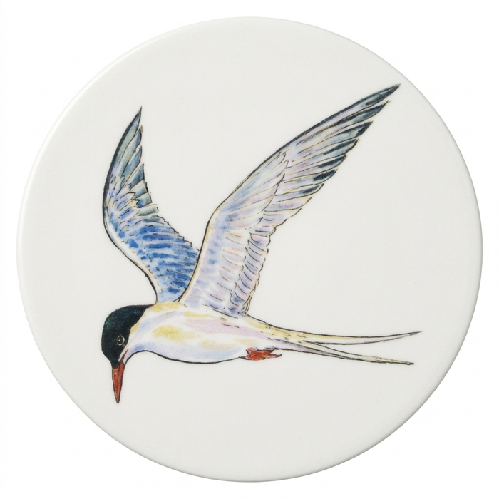 Tern Coaster