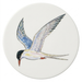 Tern Coaster