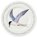 Tern 30cm Flat Rimmed Plate