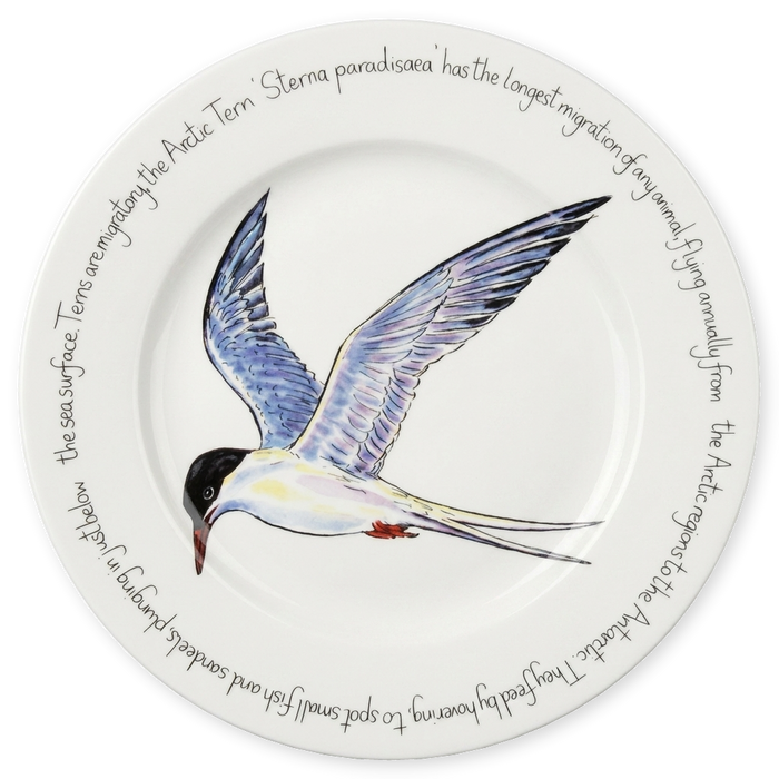 Tern 30cm Plate
