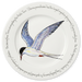 Tern 30cm Plate