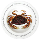 Dungeness Crab 30cm Deep Rimmed Plate