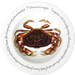 Dungeness Crab 30cm Plate