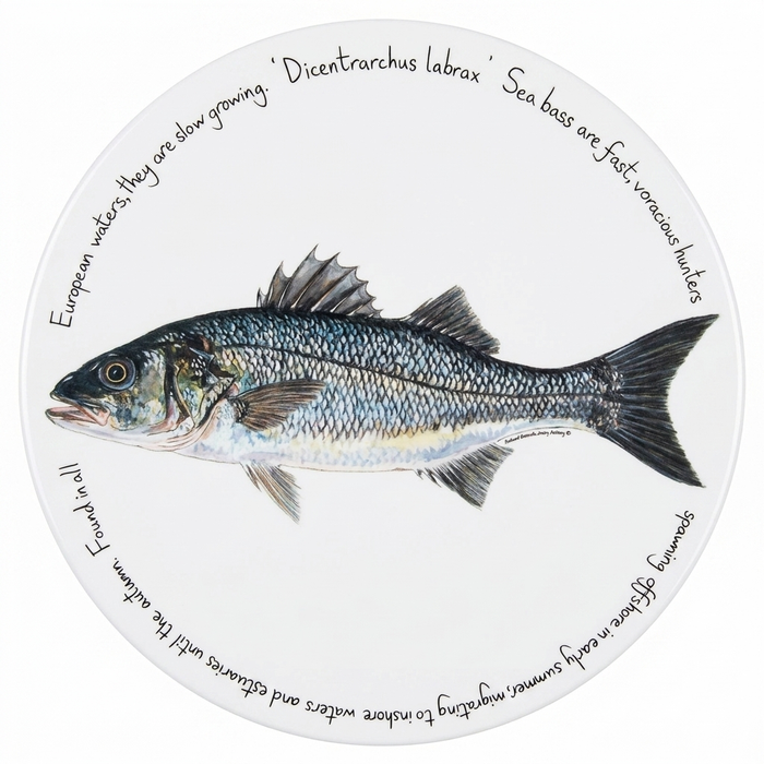 Sea Fish Tablemat Set of 6 table setting