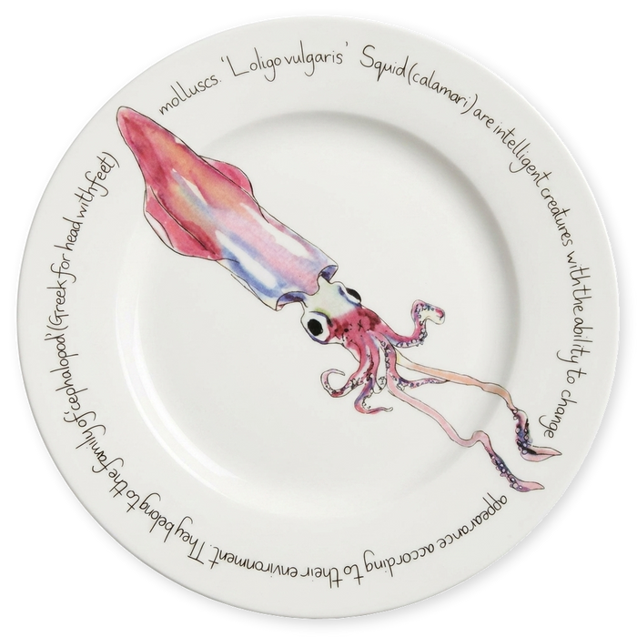 Squid 30cm Plate